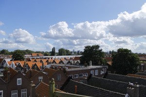 _MG_0925