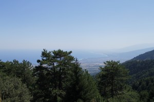 img_0723