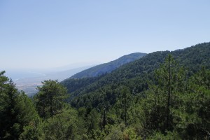 img_0735